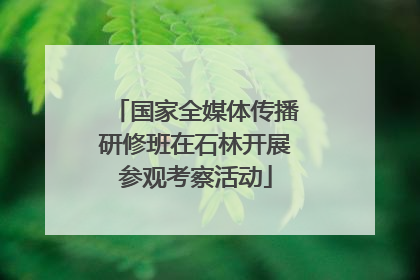 国家全媒体传播研修班在石林开展参观考察活动