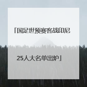 国足世预赛客战印尼25人大名单出炉