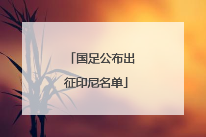 国足公布出征印尼名单