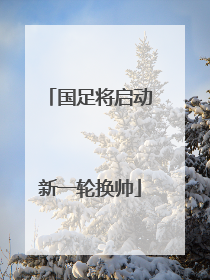 国足将启动新一轮换帅