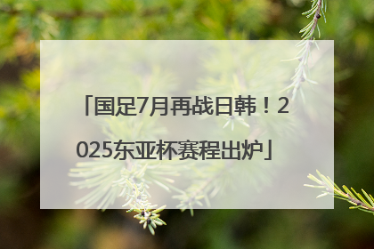 国足7月再战日韩！2025东亚杯赛程出炉