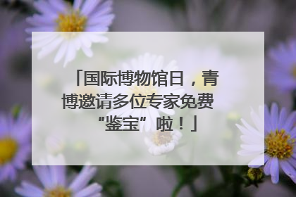 国际博物馆日，青博邀请多位专家免费“鉴宝”啦！