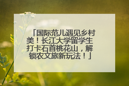 国际范儿遇见乡村美！长江大学留学生打卡石首桃花山，解锁农文旅新玩法！