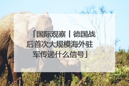 国际观察丨德国战后首次大规模海外驻军传递什么信号