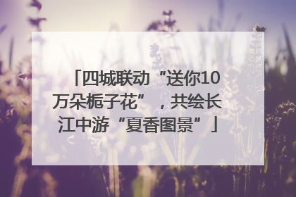 四城联动“送你10万朵栀子花”，共绘长江中游“夏香图景”