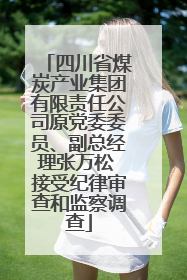 四川省煤炭产业集团有限责任公司原党委委员、副总经理张万松 接受纪律审查和监察调查
