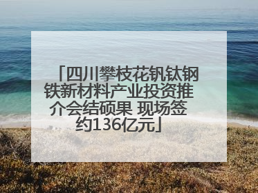 四川攀枝花钒钛钢铁新材料产业投资推介会结硕果 现场签约136亿元