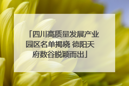 四川高质量发展产业园区名单揭晓 德阳天府数谷脱颖而出