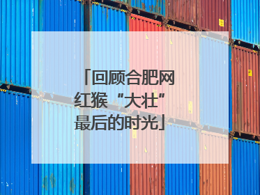 回顾合肥网红猴“大壮”最后的时光