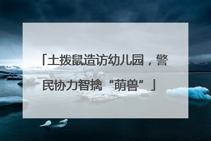 土拨鼠造访幼儿园，警民协力智擒“萌兽”