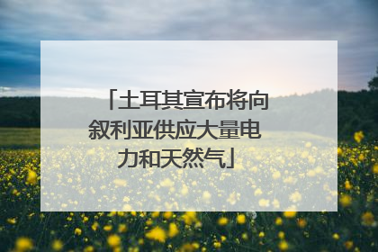 土耳其宣布将向叙利亚供应大量电力和天然气
