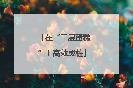 在“千层蛋糕”上高效成桩