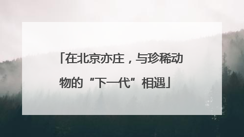 在北京亦庄，与珍稀动物的“下一代”相遇