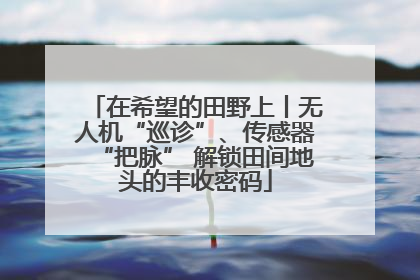 在希望的田野上丨无人机“巡诊”、传感器“把脉” 解锁田间地头的丰收密码