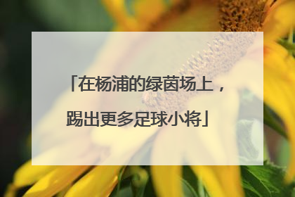 在杨浦的绿茵场上，踢出更多足球小将
