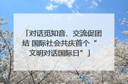 对话觅知音、交流促团结 国际社会共庆首个“文明对话国际日”