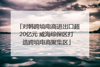 对韩跨境电商进出口超20亿元 威海综保区打造跨境电商聚集区