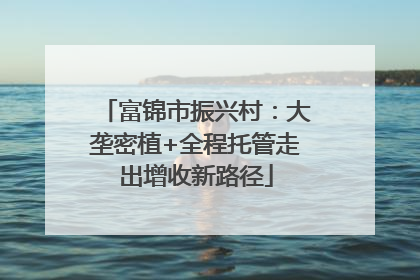 富锦市振兴村：大垄密植+全程托管走出增收新路径