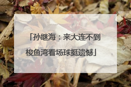 孙继海：来大连不到梭鱼湾看场球挺遗憾