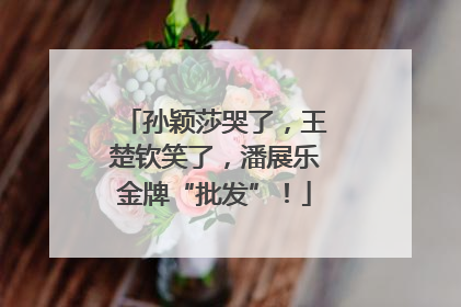 孙颖莎哭了，王楚钦笑了，潘展乐金牌“批发”！