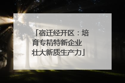 宿迁经开区：培育专精特新企业 壮大新质生产力