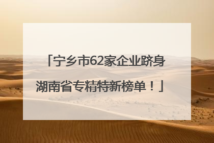 宁乡市62家企业跻身湖南省专精特新榜单！