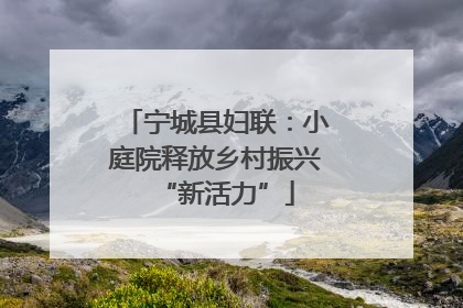 宁城县妇联：小庭院释放乡村振兴“新活力”