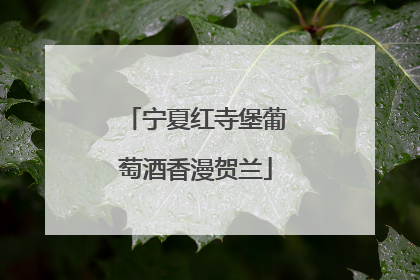 宁夏红寺堡葡萄酒香漫贺兰