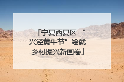 宁夏西夏区 “兴泾黄牛节”绘就乡村振兴新画卷
