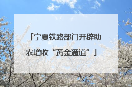 宁夏铁路部门开辟助农增收“黄金通道”