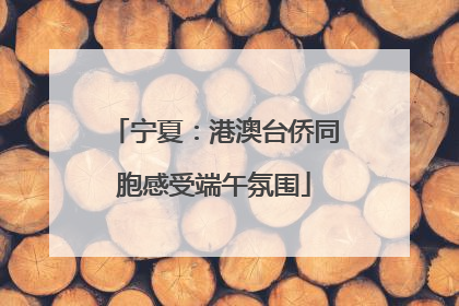 宁夏：港澳台侨同胞感受端午氛围