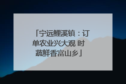 宁远鲤溪镇：订单农业兴大观 时蔬鲜香富山乡