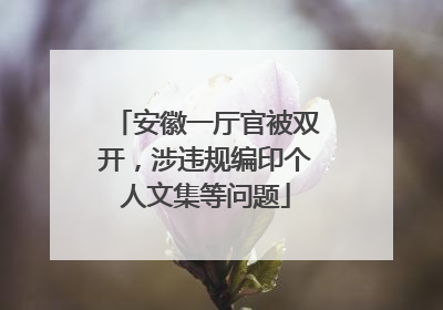 安徽一厅官被双开，涉违规编印个人文集等问题
