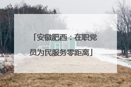安徽肥西：在职党员为民服务零距离