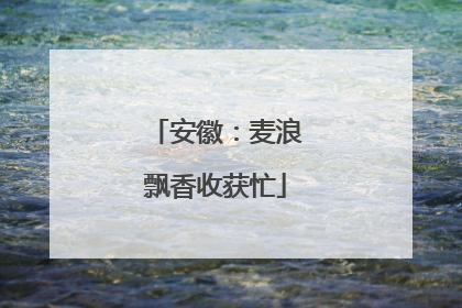 安徽：麦浪飘香收获忙