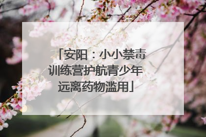 安阳：小小禁毒训练营护航青少年远离药物滥用