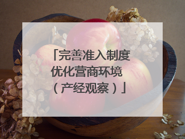 完善准入制度 优化营商环境（产经观察）