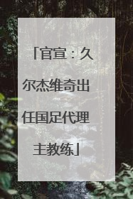 官宣：久尔杰维奇出任国足代理主教练