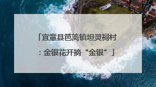 宜章县笆篱镇坦灵祠村：金银花开摘“金银”