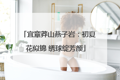 宜章莽山燕子岩：初夏花似锦 绣球绽芳颜