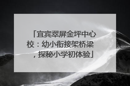 宜宾翠屏金坪中心校：幼小衔接架桥梁，探秘小学初体验