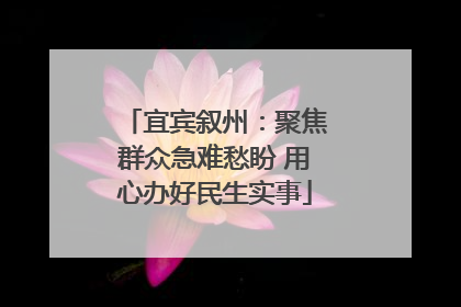 宜宾叙州：聚焦群众急难愁盼 用心办好民生实事