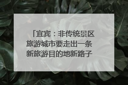 宜宾：非传统景区旅游城市要走出一条新旅游目的地新路子｜话锦绣·说安逸