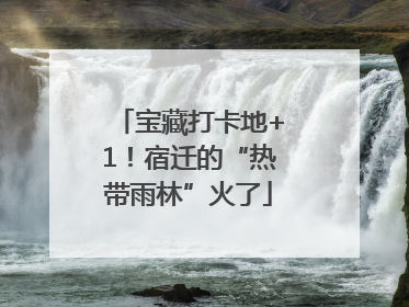 宝藏打卡地+1！宿迁的“热带雨林”火了