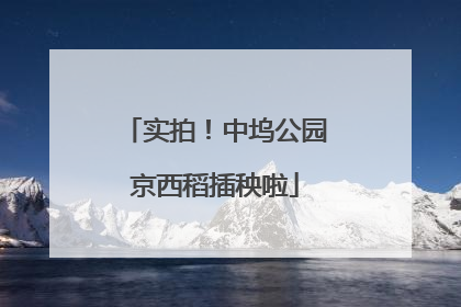 实拍！中坞公园京西稻插秧啦