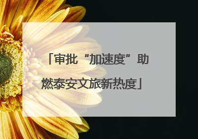 审批“加速度”助燃泰安文旅新热度