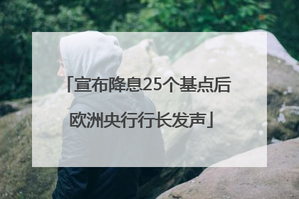 宣布降息25个基点后 欧洲央行行长发声