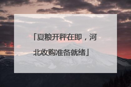 夏粮开秤在即，河北收购准备就绪