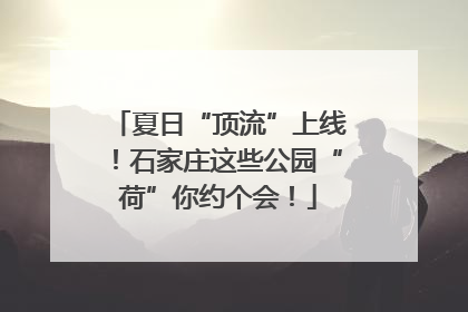 夏日“顶流”上线！石家庄这些公园“荷”你约个会！