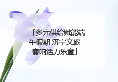 多元供给赋能端午假期 济宁文旅奏响活力乐章